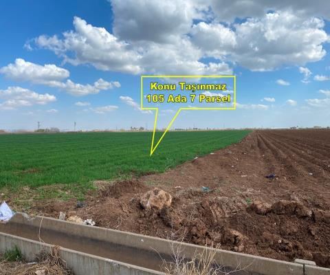 Şanlıurfa Harran Satılık Arsa - 38.575 m² - 12.650.000 TL