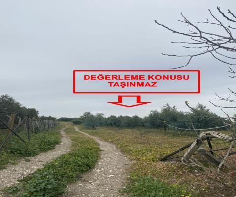 Balıkesir Bandırma Satılık Arsa - 23.300 m² - 10.890.000 TL