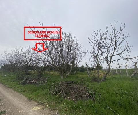 Balıkesir Bandırma Satılık Arsa - 23.300 m² - 10.890.000 TL