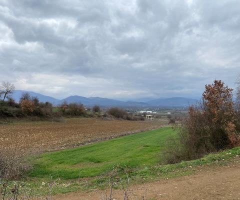 Bursa İnegöl Satılık Arsa - 10.000 m² - 4.675.000 TL