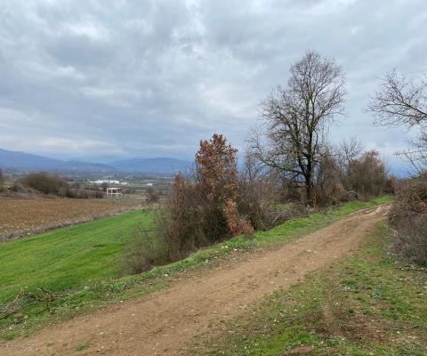 Bursa İnegöl Satılık Arsa - 10.000 m² - 4.675.000 TL