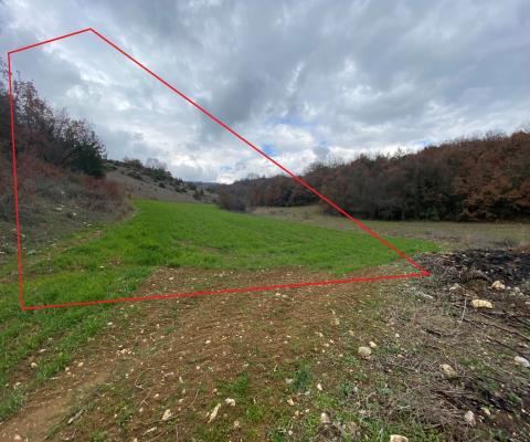 Bursa İnegöl Satılık Arsa - 10.000 m² - 4.675.000 TL