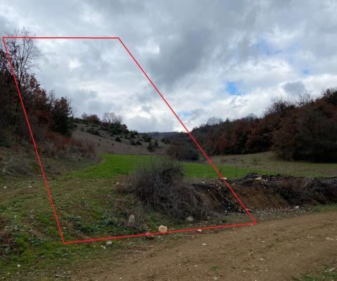 Bursa İnegöl Satılık Arsa - 10.000 m² - 4.675.000 TL