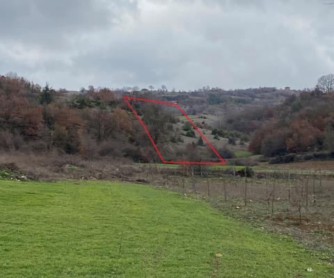 Bursa İnegöl Satılık Arsa - 10.000 m² - 4.675.000 TL