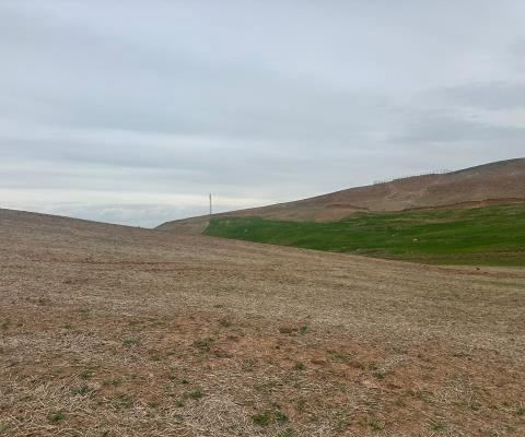 Siirt Kurtalan Satılık Arsa - 860 m² - 1.100.000 TL