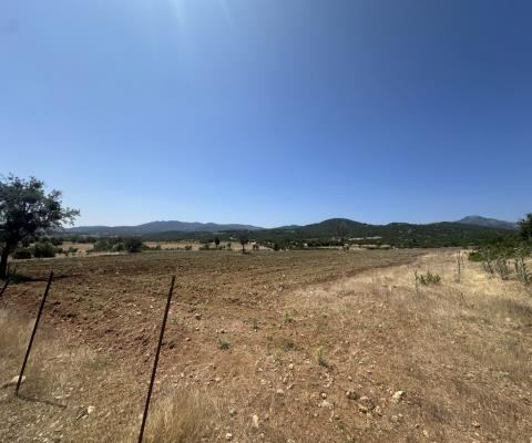 Denizli Acıpayam Satılık Arsa - 26.843,65 m² - 5.830.000 TL