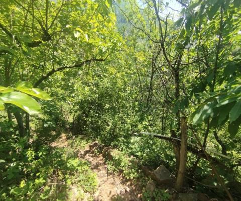 Artvin Merkez Satılık Arsa - 2.141,65 m² - 660.000 TL