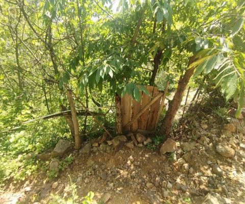 Artvin Merkez Satılık Arsa - 2.141,65 m² - 660.000 TL