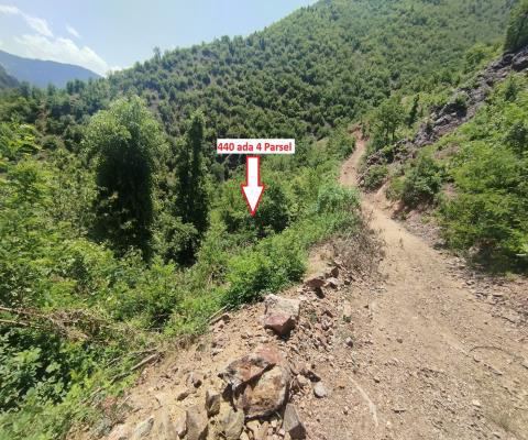 Artvin Merkez Satılık Arsa - 2.141,65 m² - 660.000 TL