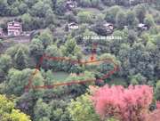 Satılık Tarla - Artvin Merkez