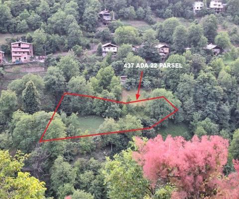 Artvin Merkez Satılık Arsa - 1.950,93 m² - 750.000 TL