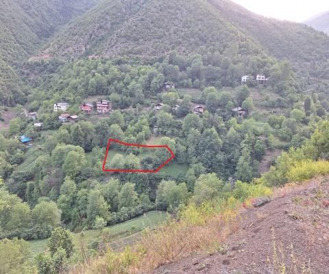 Artvin Merkez Satılık Arsa - 1.950,93 m² - 750.000 TL