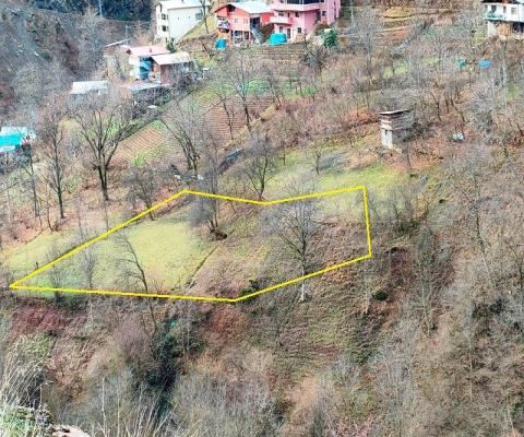 Artvin Merkez Satılık Arsa - 1.950,93 m² - 750.000 TL