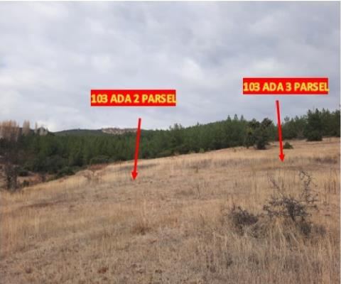 Denizli Tavas Satılık Arsa - 570,84 m² - 2.120.000 TL