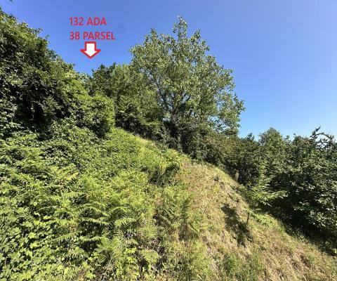 Düzce Merkez Satılık Arsa - 6.977,23 m² - 1.815.000 TL