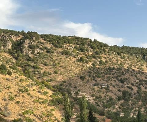 Gaziantep Nizip Satılık Arsa - 43.864,97 m² - 2.970.000 TL