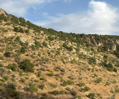Gaziantep Nizip Satılık Arsa - 43.864,97 m² - 2.970.000 TL