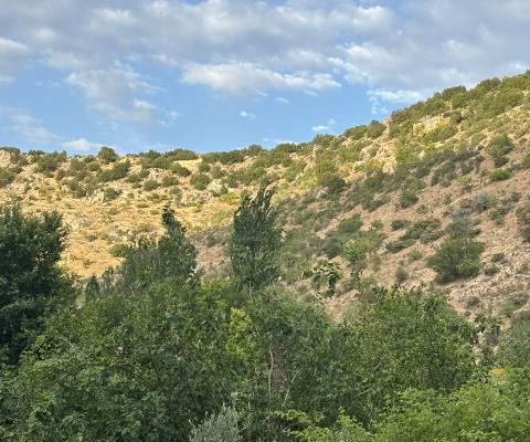 Gaziantep Nizip Satılık Arsa - 43.864,97 m² - 2.970.000 TL