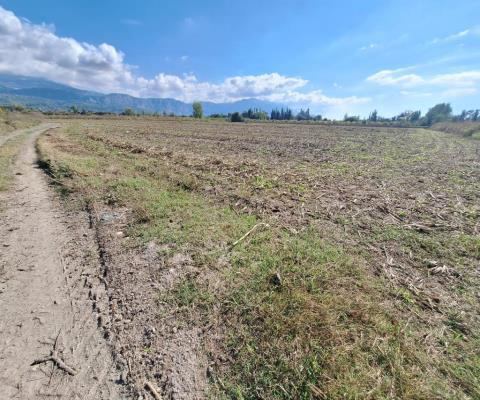 Muğla Seydikemer Satılık Arsa - 25.990,08 m² - 29.350.000 TL