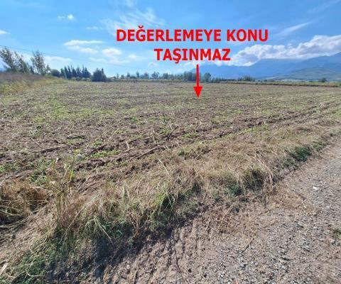 Muğla Seydikemer Satılık Arsa - 25.990,08 m² - 29.350.000 TL