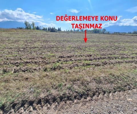 Muğla Seydikemer Satılık Arsa - 25.990,08 m² - 29.350.000 TL