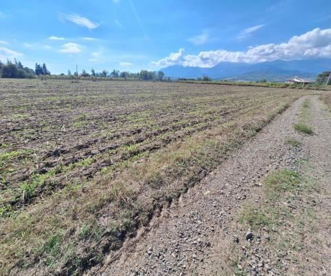 Muğla Seydikemer Satılık Arsa - 25.990,08 m² - 29.350.000 TL