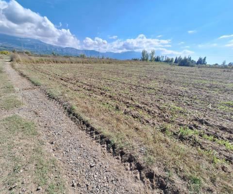 Muğla Seydikemer Satılık Arsa - 25.990,08 m² - 29.350.000 TL