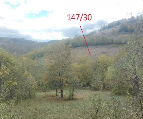 Samsun Canik Satılık Arsa - 14.479,32 m² - 2.915.000 TL