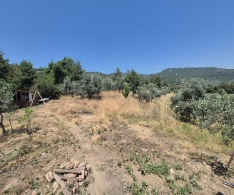 İzmir Selçuk Satılık Arsa - 4.646,46 m² - 2.640.000 TL