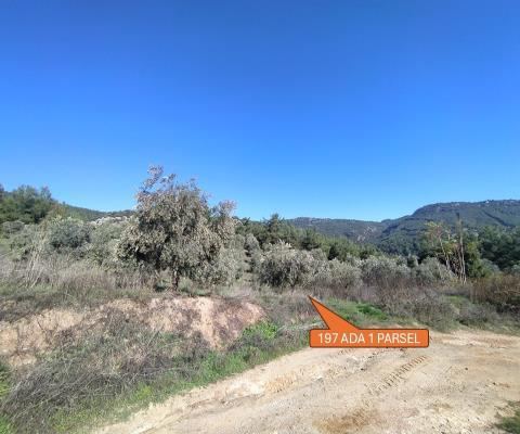 İzmir Selçuk Satılık Arsa - 4.646,46 m² - 2.640.000 TL