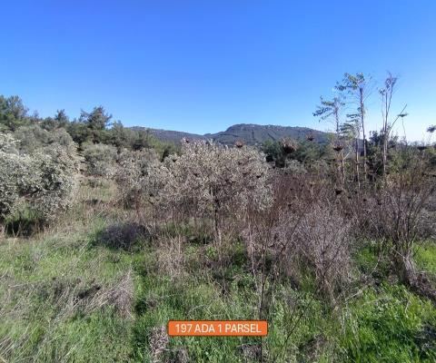 İzmir Selçuk Satılık Arsa - 4.646,46 m² - 2.640.000 TL