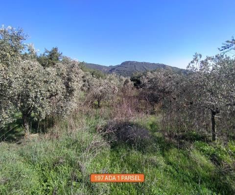 İzmir Selçuk Satılık Arsa - 4.646,46 m² - 2.640.000 TL