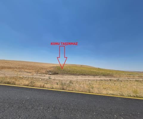 Yozgat Sarıkaya Satılık Arsa - 28.018,73 m² - 1.695.000 TL