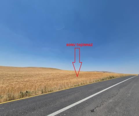 Yozgat Sarıkaya Satılık Arsa - 28.018,73 m² - 1.695.000 TL