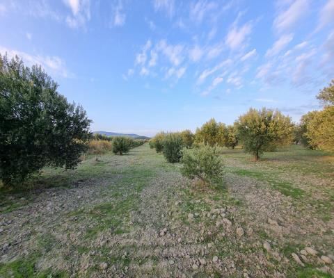 Manisa Akhisar Satılık Arsa - 4.640 m² - 2.000.000 TL