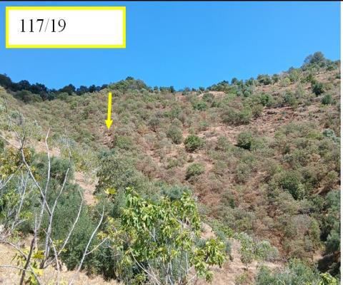 Aydın Nazilli Satılık Arsa - 23.038,97 m² - 4.300.000 TL