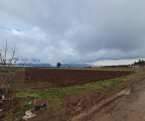 Denizli Acıpayam Satılık Arsa - 13.516,97 m² - 3.025.000 TL