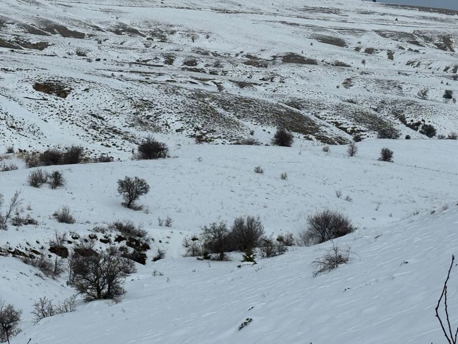 Elazığ Merkez Satılık Arsa - 1.957,86 m² - 710.000 TL