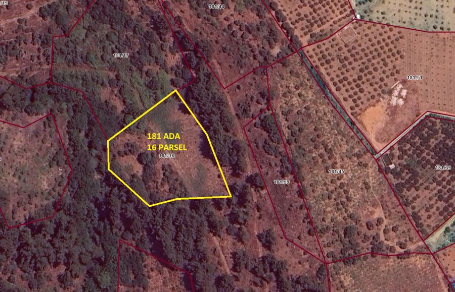 İzmir Bayındır Satılık Arsa - 4.050,81 m² - 1.210.000 TL