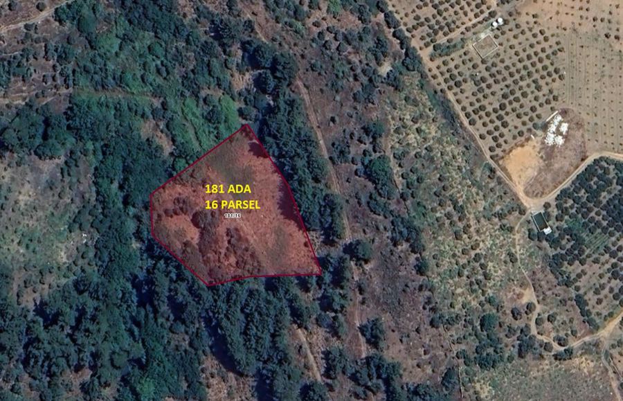 İzmir Bayındır Satılık Arsa - 4.050,81 m² - 1.210.000 TL