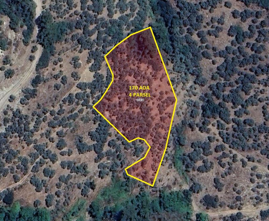 İzmir Bayındır Satılık Arsa - 5.291,21 m² - 1.515.000 TL