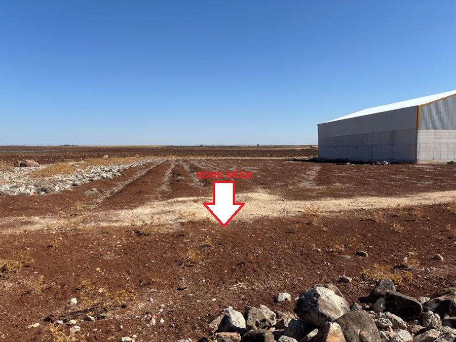 Şanlıurfa Viranşehir Satılık Arsa - 1.099,97 m² - 6.050.000 TL
