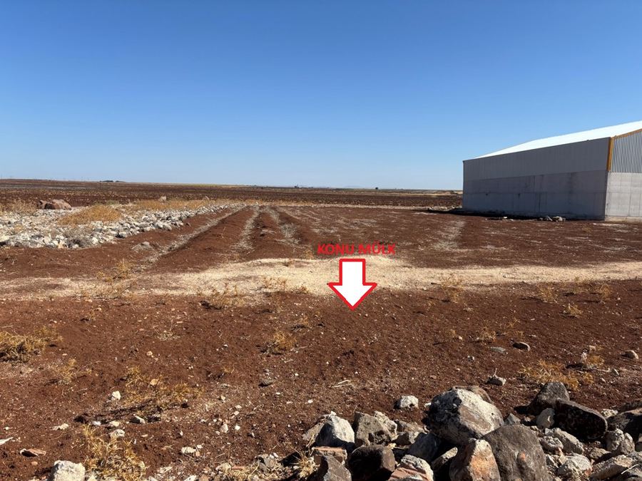 Şanlıurfa Viranşehir Satılık Arsa - 1.099,97 m² - 6.050.000 TL