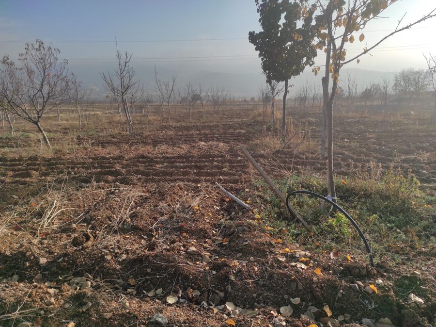 Elazığ Baskil Satılık Arsa - 5.400 m² - 3.330.000 TL