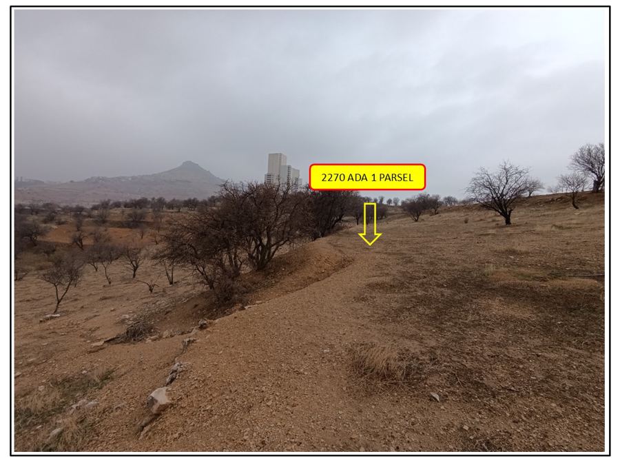 Mardin Artuklu Satılık Arsa - 2.389,84 m² - 9.075.000 TL