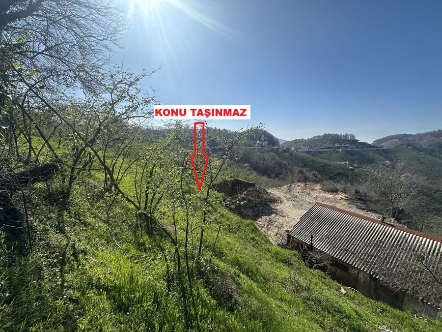 Düzce Akçakoca Satılık Arsa - 14.263,94 m² - 6.270.000 TL