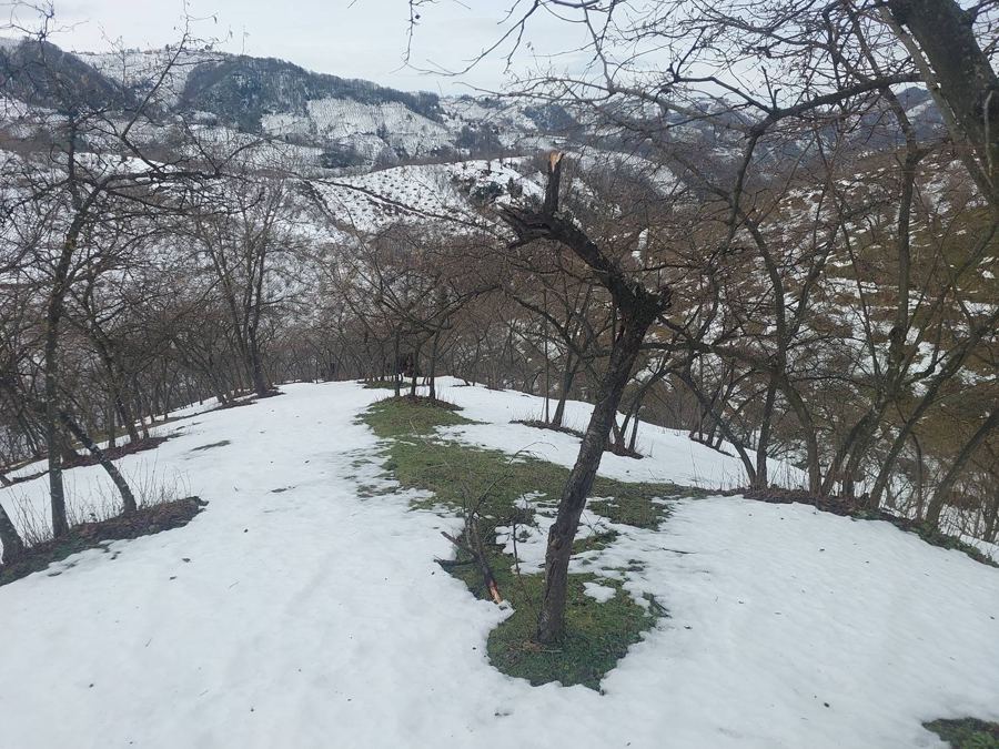 Ordu İkizce Satılık Arsa - 6.580,97 m² - 1.600.000 TL