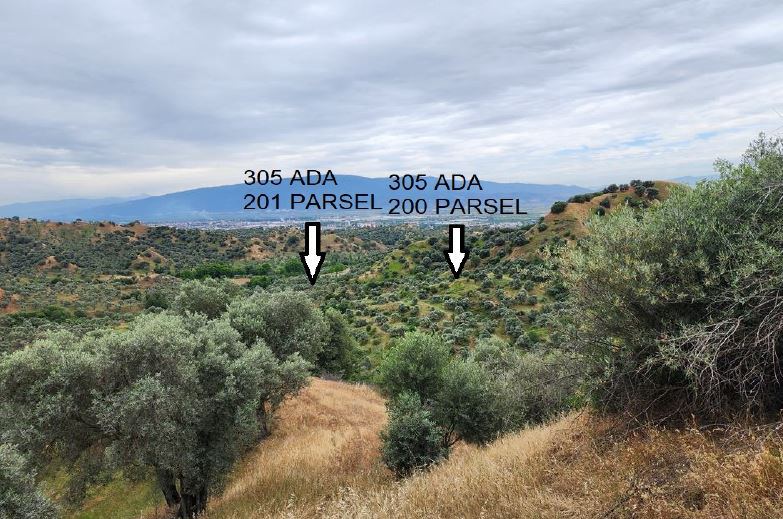 Aydın Nazilli Satılık Arsa - 45.590 m² - 5.850.000 TL