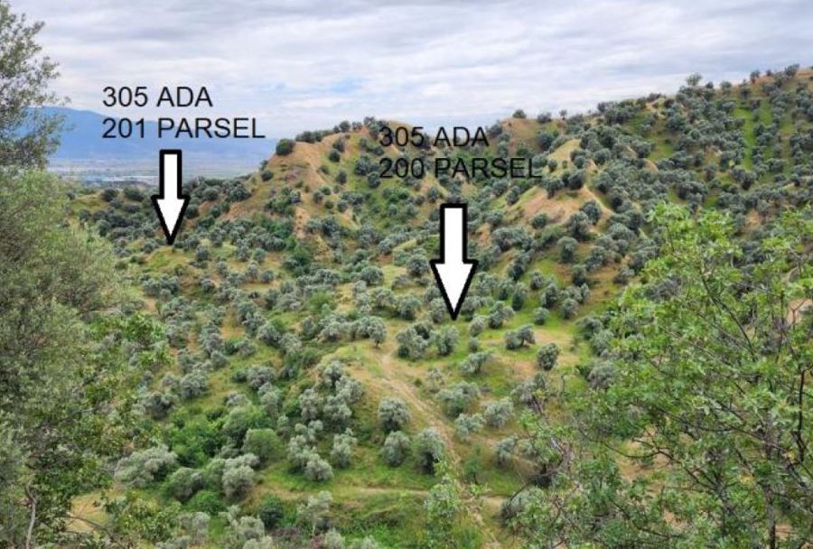 Aydın Nazilli Satılık Arsa - 45.590 m² - 5.850.000 TL
