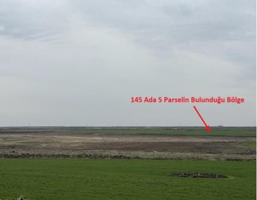 Mardin Derik Satılık Arsa - 34.768 m² - 3.500.000 TL